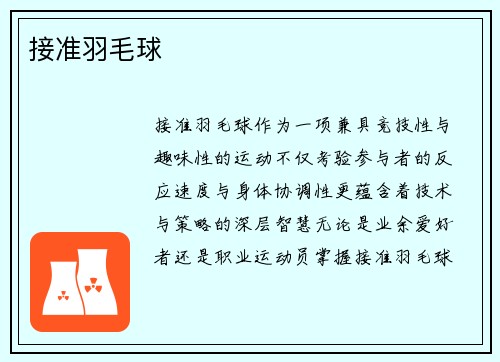 接准羽毛球