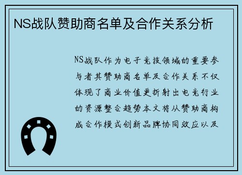 NS战队赞助商名单及合作关系分析